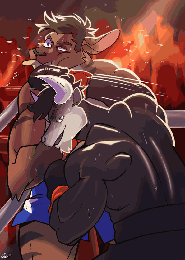 Waju boxing