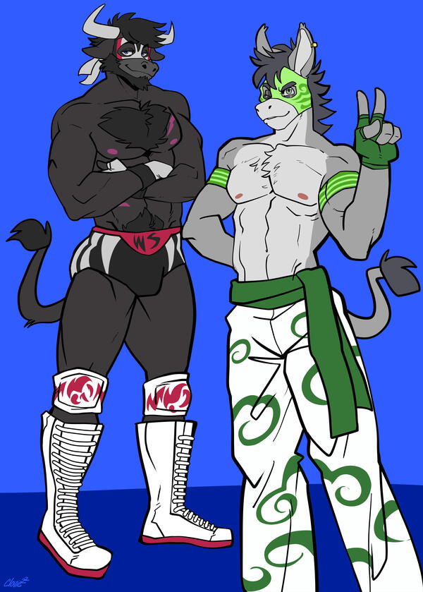 Waju &amp; Lillo fighting outfits